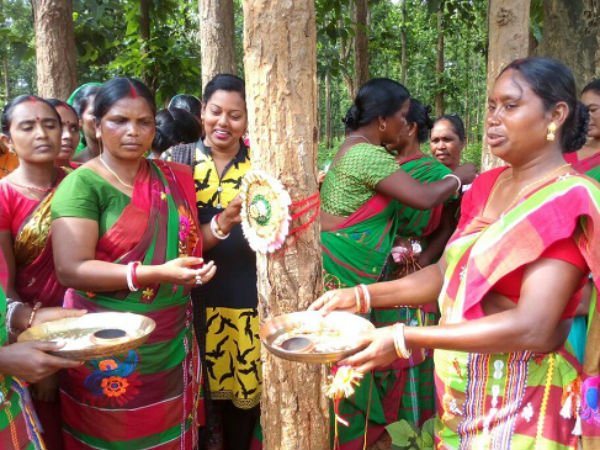 జమున టుడూపై కలప స్మగ్లర్ల హత్యాయత్నం