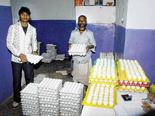 ఇంత ధర ఎన్నడూ చూడలేదు...