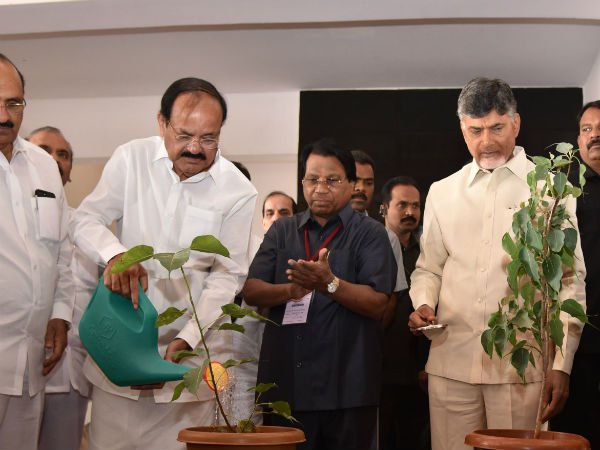 సాధారణ పాఠశాలలోనే..