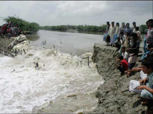 ఒడ్డుకు కొట్టుకు వచ్చిన జలచరాలు