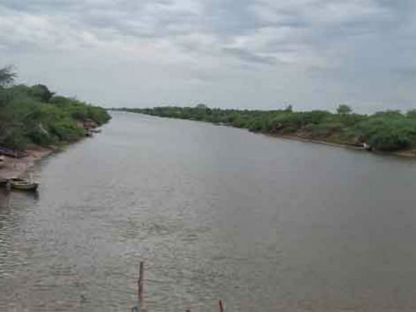 Viral song celebrates Telangana irrigation project agitation Viral song celebrates Telangana irrigation project agitation