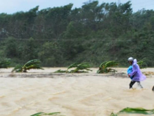 Vietnam's death toll from Typhoon Damrey nears 50 Vietnam's death toll from Typhoon Damrey nears 50