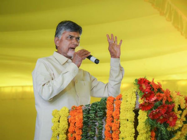 ఐదు శాతమేనా...