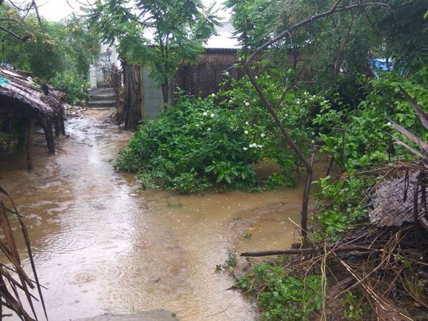 నేలకూలిన ఇళ్లు, చెట్లు