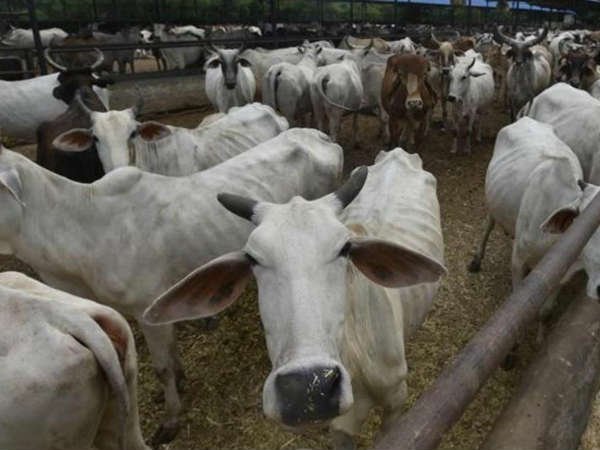భక్తి గీతాలు కాకుండా వేరే గీతాలు పెడితే