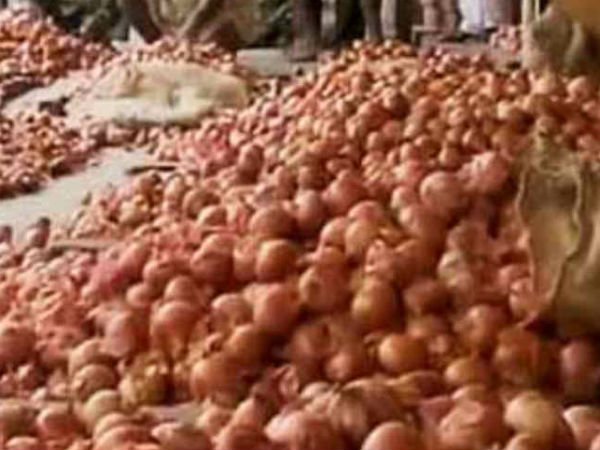ఉల్లి రైతుల ఆవేదన...
