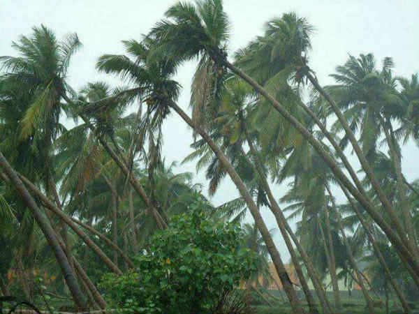సముద్రంలో గల్లంతు