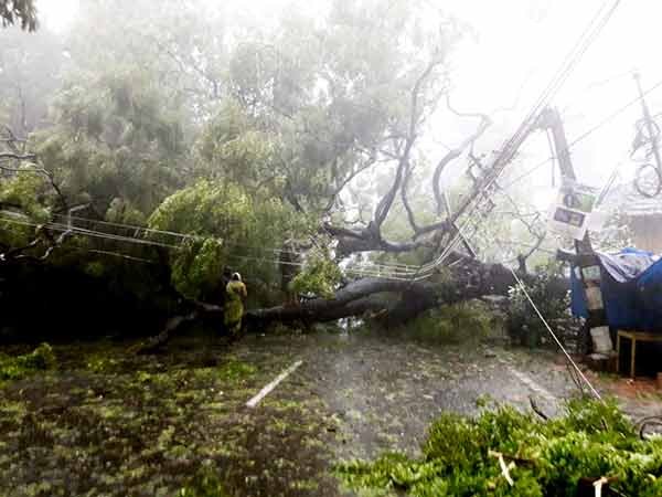 విద్యుత్ షాక్ తో ఉద్యోగి బలి
