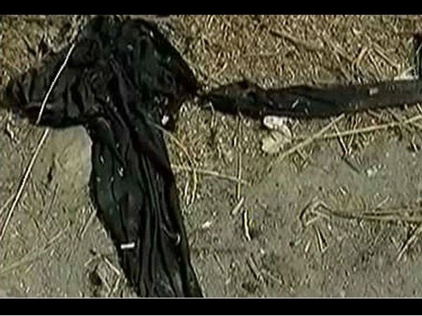 మీడియా కథనాల ఆధారంగా