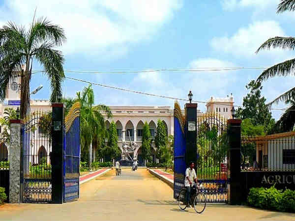 ముందు...తరువాత
