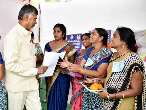 పులివెందులలో టీడీపీదే గెలుపు