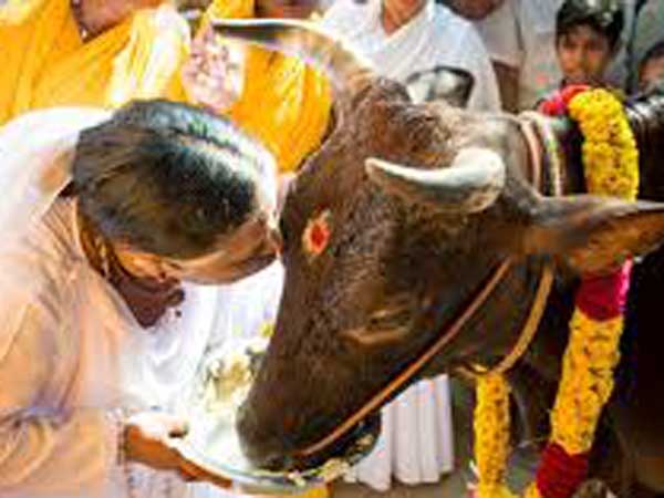 హరికీర్తనలు ఇలా...