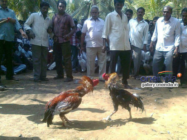 కేసులు పెడితే ఇలా...విచిత్ర ఒప్పందం...