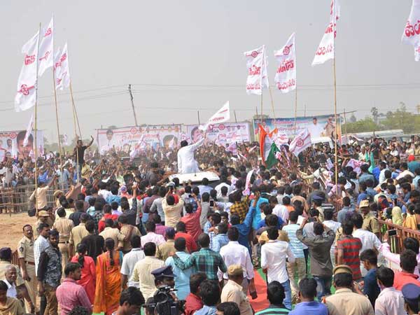 అభిమాని హల్చల్