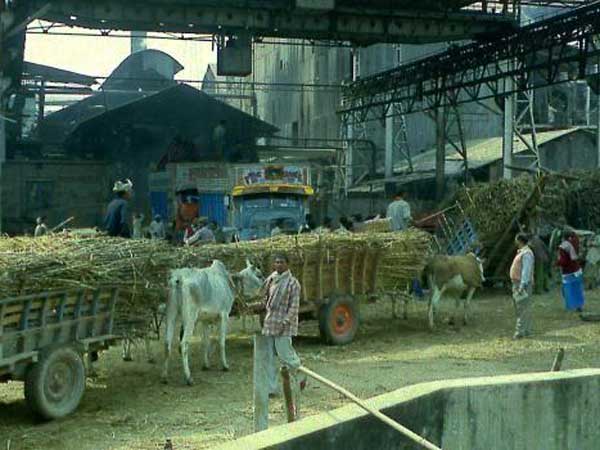 Budget 2018 May Allot Rs. 500 Crore For Sugar Development Fund Budget 2018 May Allot Rs. 500 Crore For Sugar Development Fund