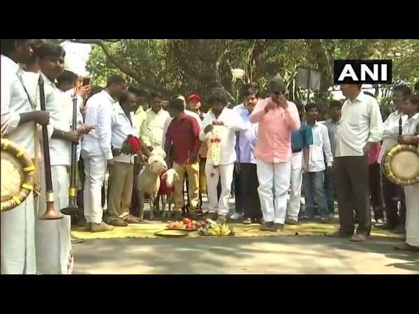 రెండు గొర్రెలకు పెళ్లి