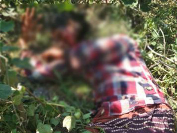 మోటార్ దొంగతనం