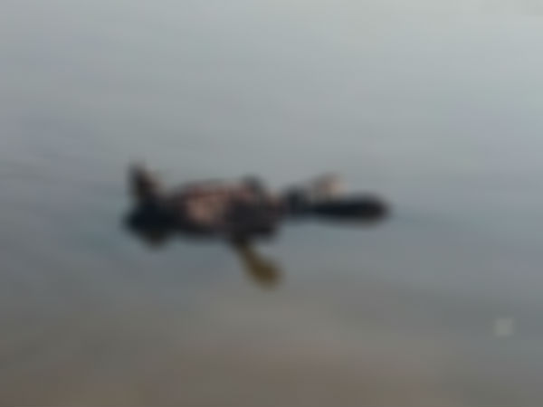 seven dead bodies at Vontimitta lake in Kadapa district seven dead bodies at Vontimitta lake in Kadapa district