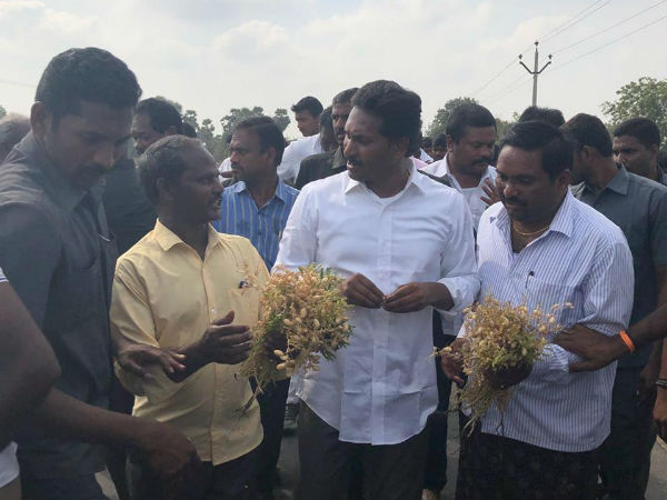 తప్పుగా అర్థం చేసుకున్నారంటూ..