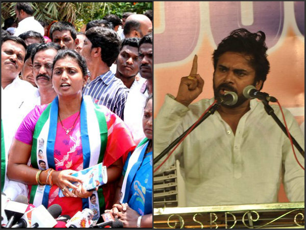 ప్యాకేజీ క్యాబేజీ
