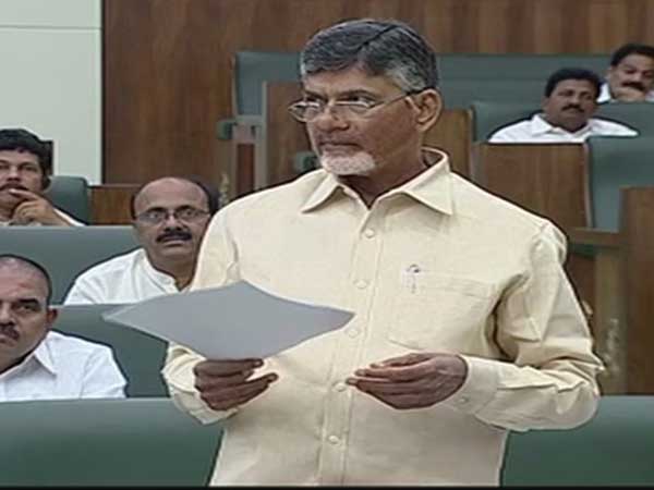 మా హైకమాండ్ ఢిల్లీనే