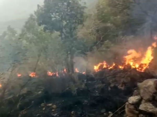 Fire Accident Fire Accident