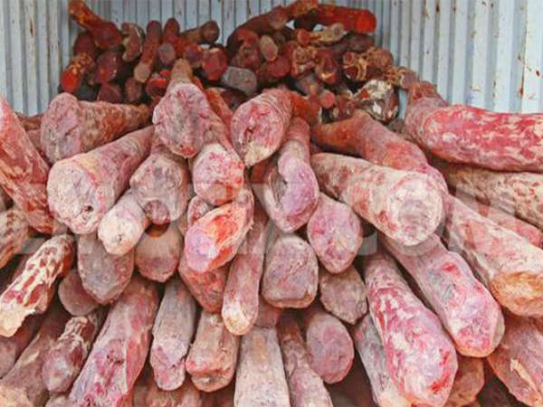 పేదరికమే...పెట్టుబడి