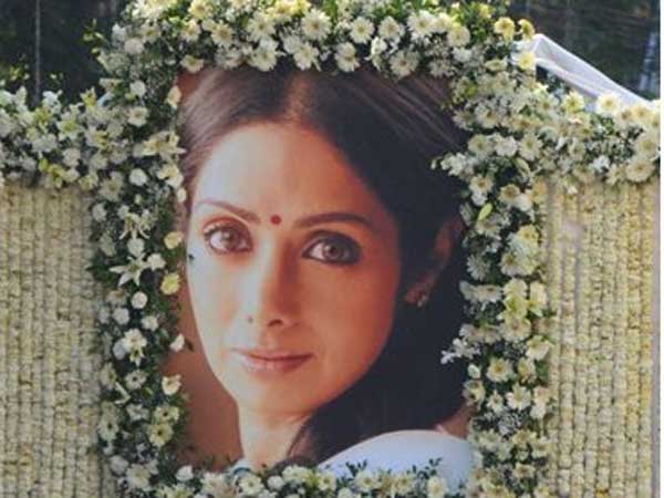 ఎక్కడ సెటిల్ అవాలనుకున్నారు?: