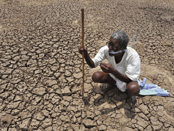 లాభపడ్డ డీలర్లు, ఏజెంట్లు: