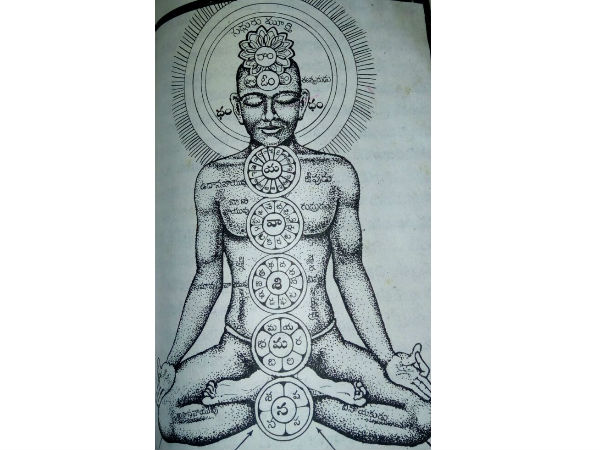Muladhara: The Importance Of The Root Chakra Muladhara: The Importance Of The Root Chakra