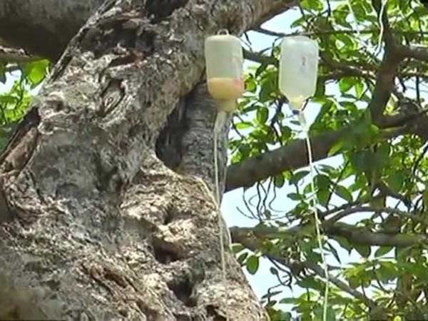 సెలైన్ బాటిళ్ల ద్వారా..