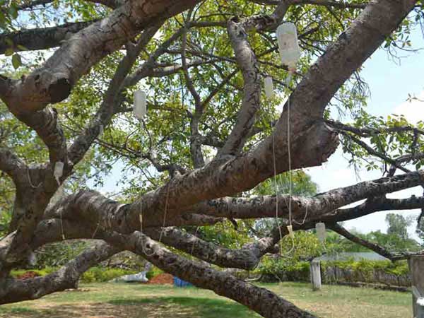 సందర్శన నిలిపివేత