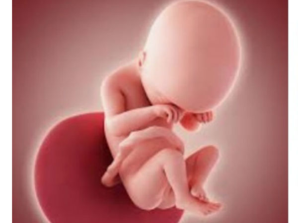ఏడు, ఎనిమిది నెలల్లో..