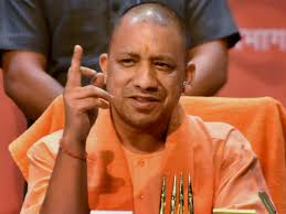 yogi yogi