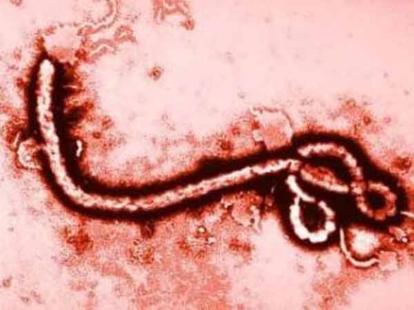 Ebola outbreak declared in Democratic Republic of Congo Ebola outbreak declared in Democratic Republic of Congo