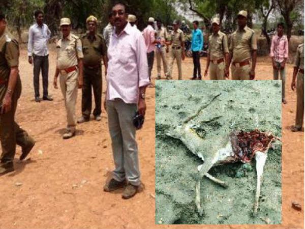 People Fear Of Cheetah Attacks In Ananthapur district People Fear Of Cheetah Attacks In Ananthapur district