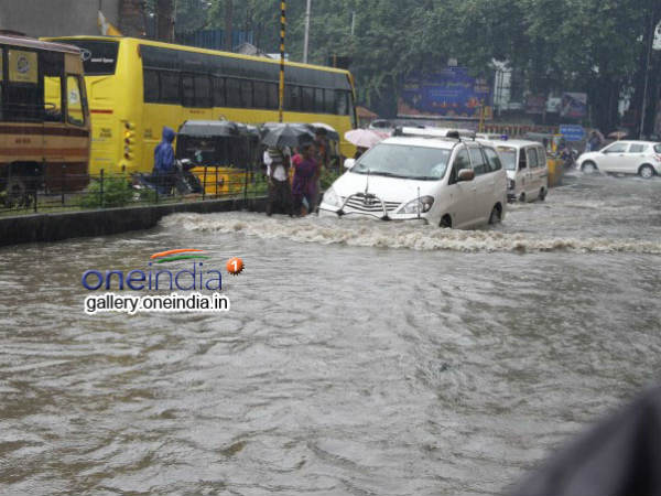 అభిమానుల ఆందోళన