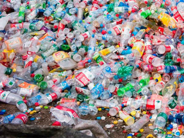 Scientists accidentally create plastic-eating enzyme Scientists accidentally create plastic-eating enzyme