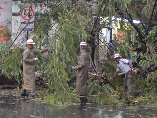 శ్రీకాకుళం నుంచి చిత్తూరు దాకా పిడుగుల గర్జన