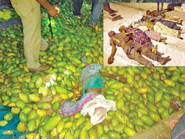 Eight killed as truck falls into a valley in Chittoor district Eight killed as truck falls into a valley in Chittoor district