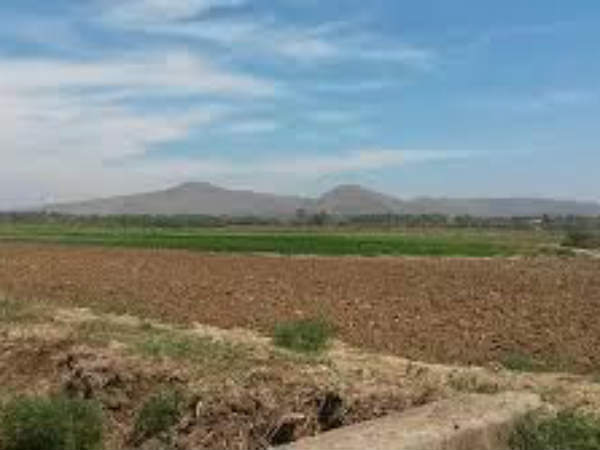 మరోవైపు...చిత్తూరు జిల్లాలో
