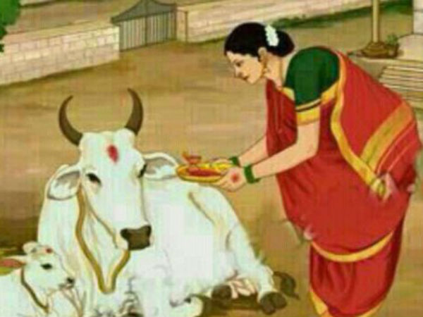 Remedies for problems: Gau Pooja for Graha Dosha Nivaran Remedies for problems: Gau Pooja for Graha Dosha Nivaran
