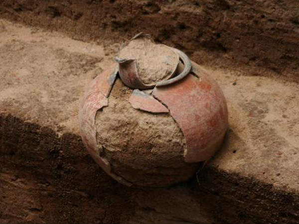 Gold unearthed in Keezhadi site excavations Gold unearthed in Keezhadi site excavations