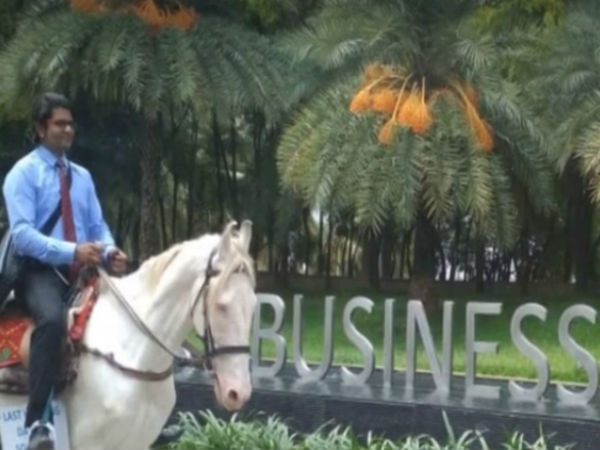 Fed Up of Bengaluru Traffic, Techie Rides a Horse to Work on Last Day, Becomes Internet Sensation Fed Up of Bengaluru Traffic, Techie Rides a Horse to Work on Last Day, Becomes Internet Sensation