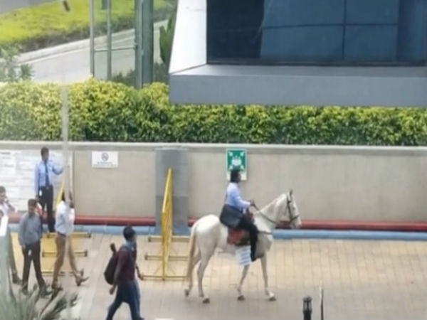Fed Up of Bengaluru Traffic, Techie Rides a Horse to Work on Last Day, Becomes Internet Sensation Fed Up of Bengaluru Traffic, Techie Rides a Horse to Work on Last Day, Becomes Internet Sensation