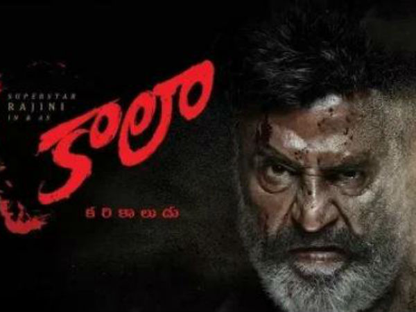 అభిమానులు మకాం