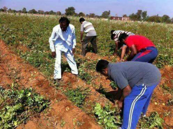ప్రధాని మోడీతో భేటీలో ముందస్తు చర్చ, వారంగా ఫాంహౌస్లో చర్చ