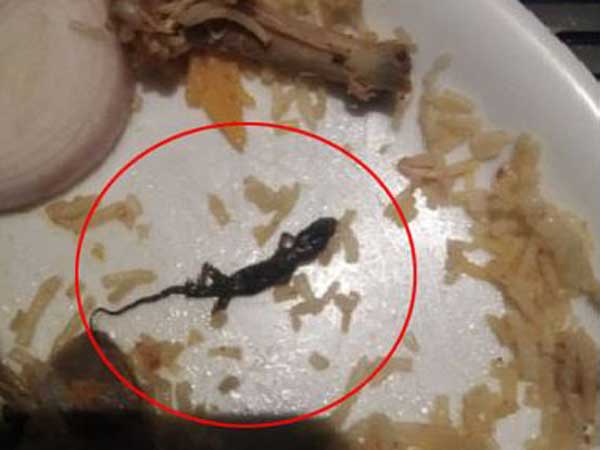 Vijayawada: a lizard found in chicken biryani in a hotel Vijayawada: a lizard found in chicken biryani in a hotel