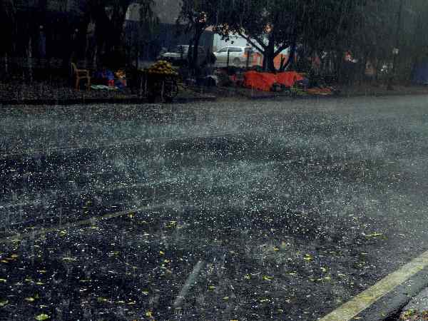 Monsoon updates: SW Monsoon reaches North India, likely to hit Delhi in next 24 hours Monsoon updates: SW Monsoon reaches North India, likely to hit Delhi in next 24 hours