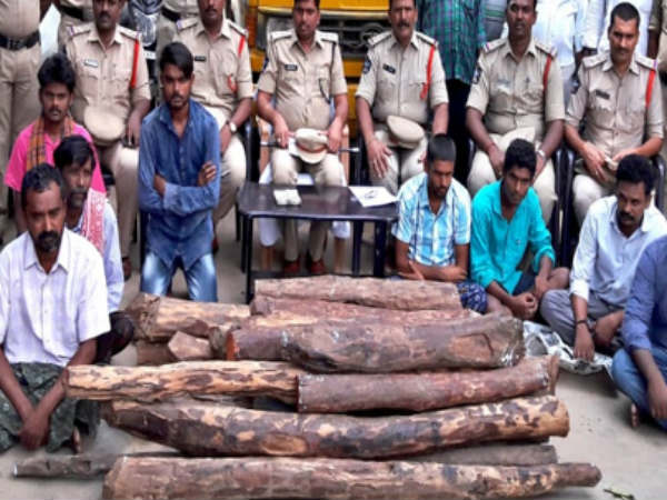 14 members of red sanders smugglers arrested in Chittoor district. 14 members of red sanders smugglers arrested in Chittoor district.
